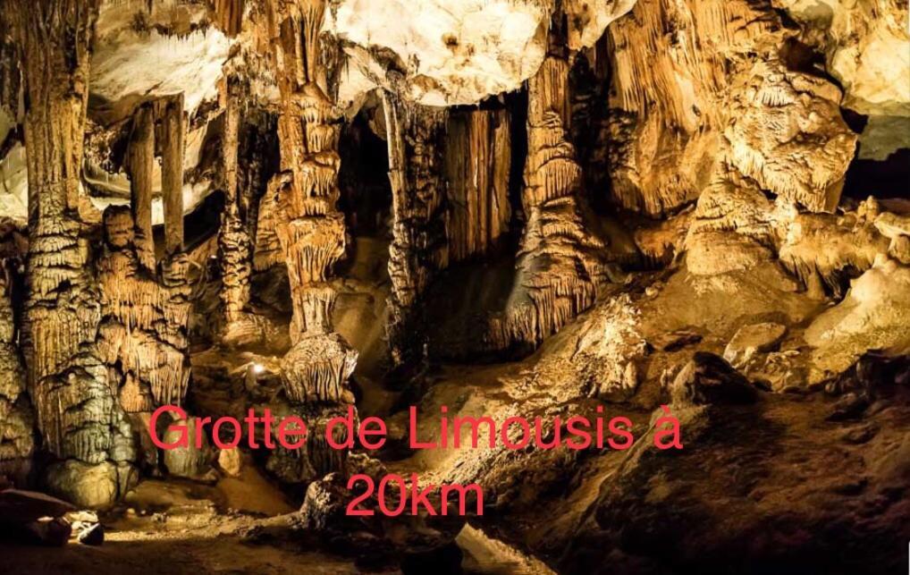 Les Iris Apartman Carcassone Kültér fotó